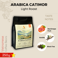 Authentique Speciality Arabica Catimor (Light Roast) (Vietnam Origin) Coffee Beans 250g กาแฟคั่วอ่อน
