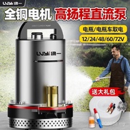 Pumping Parts Submersible Pump Hot-selling Volt Household DC 30 Days [2v48v72564 Battery] Green One 