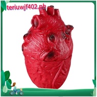 Body Prop Parts Human Body Simulation Organs Haunted House Pranks