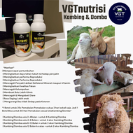 VGT Nutrisi Kambing Domba Kibas Jawa Randu Kacang Etawa semua jenis