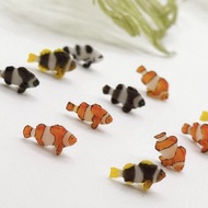 海洋系列 - 小丑魚家族