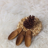 AL- 7 cm Perhutani Teak Wood Spice Spoons - Rayliza Spice Spoons