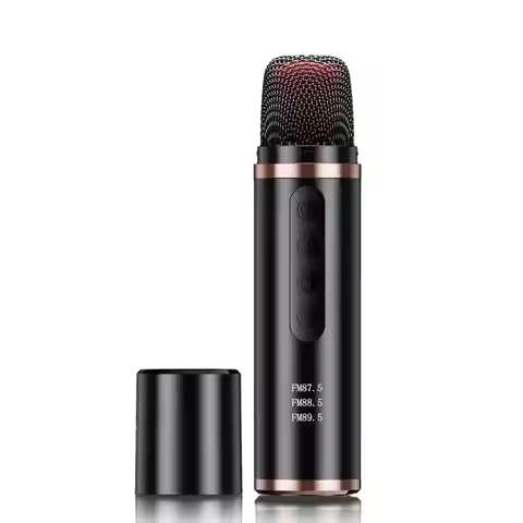 Portable Car Mini Bluetooth Karaoke Microphone Player Song Recording Live Broadcast Equipment FM Car