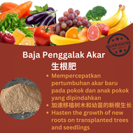 2KG baja penggalak akar