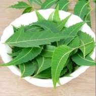 Daun Semambu/ Neem/Mambu (350gm)