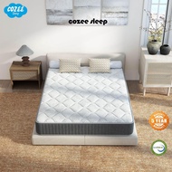 Cozeesleep Economy Nanocool Pocket Spring Mattress Single S Single Queen Size 15cm 20cm 25 cm  (SG)