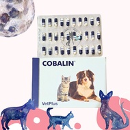 Cobalt VetPlus (1 BLISTER = 30 Caps) Vitamin B12 & B9 For Cats Dogs Cats Dogs