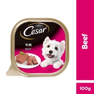 Cesar Wet Adult Dog Food Beef 100g