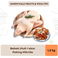Bebek Hibrida dengan Kepala 1,2 kg | Bebek Peking Hibrida Karkas| Bersih Segar | 1 ekor | Frozen | H