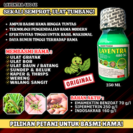 TERAMPUH !! Insektisida Laventra 480 Sc Racun Ulat Grayak Ulat Bor Thrips Wereng Sundep