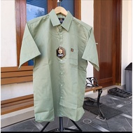 HIJAU KEMEJA SAGE MEN'S SHIRT SAGE GREEN SHORT SLEEVE baju kemeja lelaki