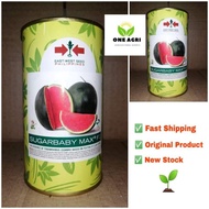 ∋✗SUGARBABY MAX F1 100 GRAMS. watermelon seeds (EAST-WEST SEEDS)