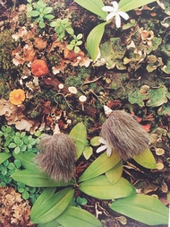 木刻耳環 - 刺蝟 (淺灰色) / 一對