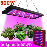 220V Light 500W ไฟปลุกต้นไม้ ไฟช่วยต้นไม้ตัวเร็ว ไฟเลี้ยงต้นไม้โตเร็ว2เท่า(ไฟปลูก  ไฟปลุกต้นไม้ ไฟปลูกต้นไม้ ไฟ LED ไฟปลูกพืช ไฟปลูกต้นกันชา   )Fu