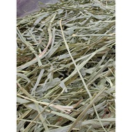 【US Premium Timothy Hay 一割】Timothy hay First Cut 美国提摩西草 500g / 1kg | 龙猫 Chinchilla 兔子 Rabbit 天竺鼠 Gui