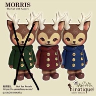 Morris 角貓