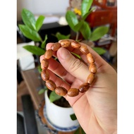 Blood dragon bracelet size 8mm lu Thong - rich in oil - permanent fragrance for good luck and good l