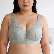 B & C Plus Size Full Coverage Lace Bra 36D-46D | Non-Wire Support Bra | Anti-Spill Wide Side | Big B