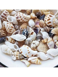 30g不同種類的天然貝殼,海洋風格模擬奶油膠水滴膠diy補充材料,100米蝸牛小貝殼女士裝飾配件