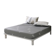 Hong Yew Bedding 鴻宇寢飾 寢具組 100%精梳純棉 台灣製 C20105  雙人  葉夜  床包 + 枕套 2個
