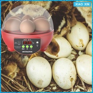 Mesin Inkubator Penetasan Telur Ayam Puyuh Otomatis Digital Kontrol
