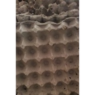Eggtray Used Eggs 10pcs