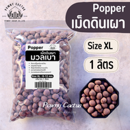 เม็ดดินเผา มวลเบา popper ป๊อปเปอร์ 1 ลิตร และ 100 กรัม หินป๊อปเปอร์ (Popper) popper S M L XL XXL 2XL