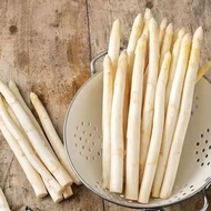[Supply] Asparagus Seeds Balcony Potted Green Asparagus Purple Fruit Asparagus White Asparagus Seeds