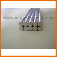 Magnet Manila Neodymium D5mm X 2mm N42 Strong Magnet