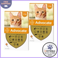 Advocate for Cats For Kittens & Small Cats Up To 4Kg (Orange) 6 Pack