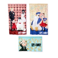 [Miravivi] Spy House Wine Door Curtain