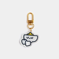 Charlie | Common Sense is not Common Keychain