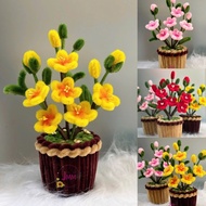 Velvet Zinc Apricot Flower Pot CNY handmade Gifts, Meaningful Gifts CNY