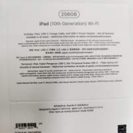 ipad 10代 藍色256GB Wifi 全新