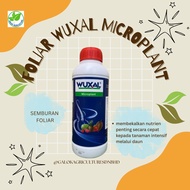 AGROBRIDGE FOLIAR WUXAL MICROPLANT BAJA SEMBUR (1L) 7.8% N – 15.7% K2O – 4.7% MgO – 8.1% S – 0.5% B 