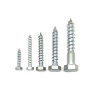 M6M8M10M12 Galvanized External Hexagon Self-Tapping Screw Extended External Hexagon Self-Tapping Woo