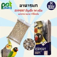 [1kg.] อาหารนก ธัญพืช14ชนิด Expert Premium Latge Parakeets อาหารสำหรับ นก นกค็อกคาเทล นกเลิฟเบิร์ด นกแก้ว ธัญพืชรวม อาหารสัตว์เลี้ยง ธัญพืช 14 ชนิด