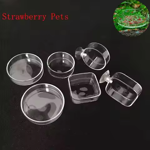 Transparent Aquarium Fish Tank Shrimp Food Feeding Circle Glass Feeder Floating Bottom Feeder Fish S