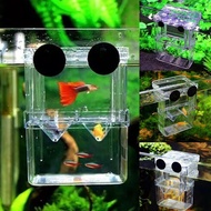 Fish Breeding Box Fish Tank Acrylic Isolation Box With Suction Isolation Tank W0y7