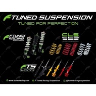 absorber Ftuned Heavy Duty