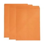 Unprinted gold A4 envelope