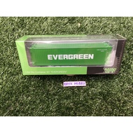 TSM Models Mini GT Dry Container 40ft Evergreen #MGTAC08 (1:64)