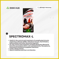 ⭐ ✧ ✲ L-Spec Injectable [EXCELLENCE] - RMM HUB (1PC) VR NO. 1228