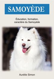 Samoyède : Education, Formation, Caractère du Samoyède Aurélie Simon