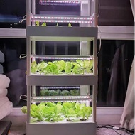 Hydroponics Growing System Indoor Home Used Hydroponic Tower Growing System Grow Planter Box 3Layers