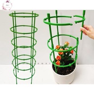 🇲🇾 Flower shelf Support Rod Climbing Bracket flower Vine Rak Bunga Sokongan 花架子货架支撑杆爬藤花架兰支架花藤架子拼接花支架
