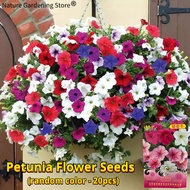 เมล็ดพันธุ์ ดอกพิทูเนีย คละสี เมล็ดพิทูเนีย บรรจุ 20 เมล็ด Petunia Seeds Flower Seeds for Planting เมล็ดดอกไม้ ต้นไม้มงคล บอนสี เมล็ดบอนสี บอนไซ ต้นไม้ ไม้ประดับมงคล ดอกไม้จริง ต้นบอนไซ พันธุ์ดอกไม้ ดอกไม้ปลูกสวยๆ แต่งบ้านและสวน ปลูกง่าย ปลูกได้ทั่วไทย
