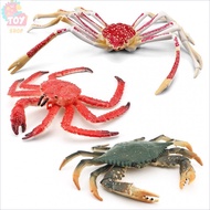 Children's Educational Toys Simulation Marine Animal Crab Model King Crab Spider Crab Static Desktop
