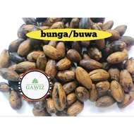 Bunga Buyo Buwa Bua Nganga | Betel nuts