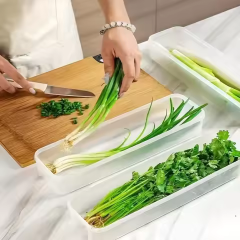 2Pcs Refrigerator Storage Boxes With Lid Plastic Fresh Keeping Box Kitchen Scallions Cilantro Eggs N